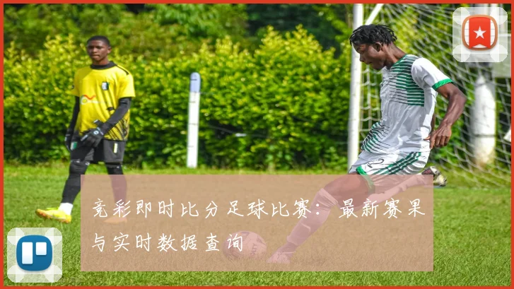 竞彩即时比分足球比赛:最新赛果与实时数据查询