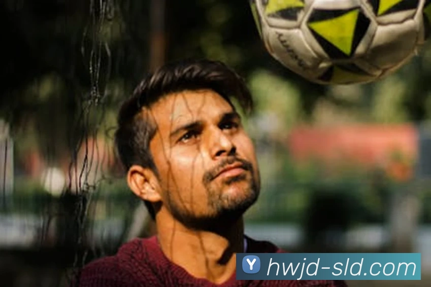 奇异果网页版品牌故事